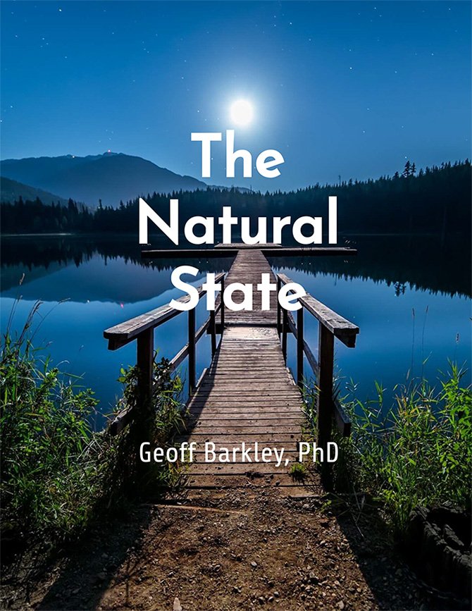 The Natural State Cover with lake in the moonlight